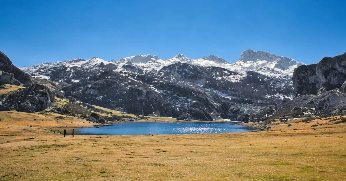 Welche Region Spaniens beherbergt die Picos de Europa?