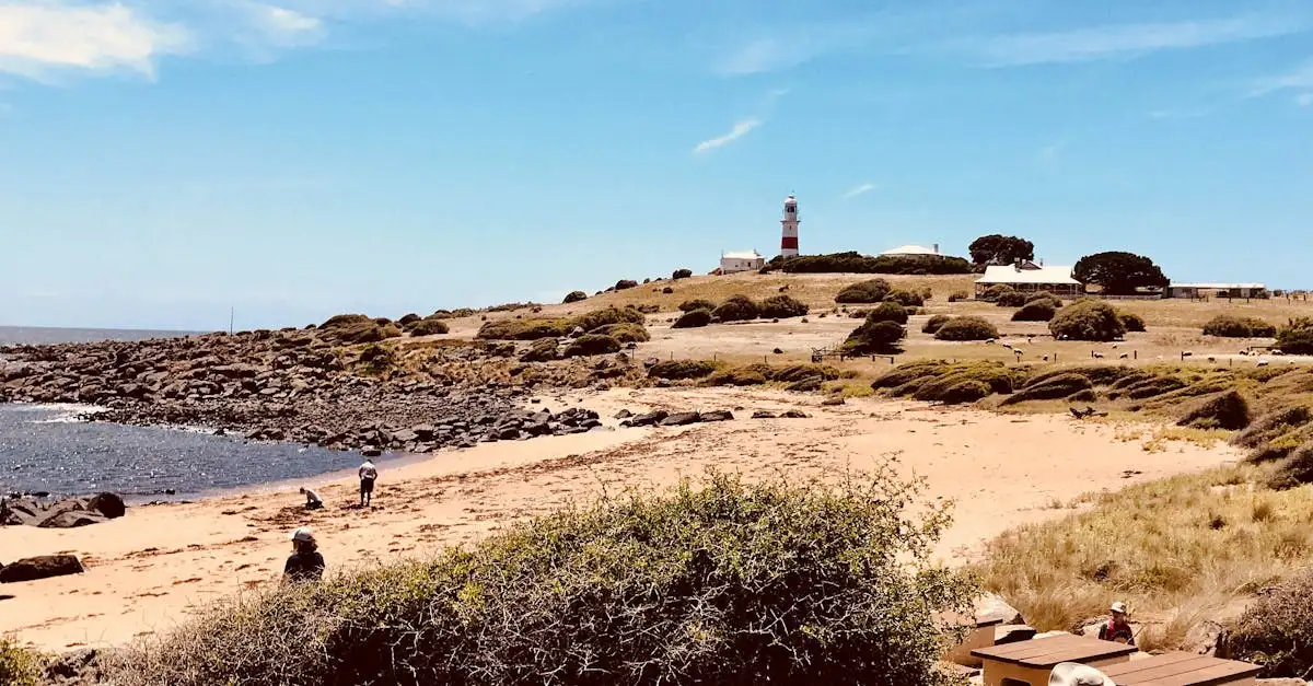 Welches Land entdeckte Tasmanien im 17. Jahrhundert?