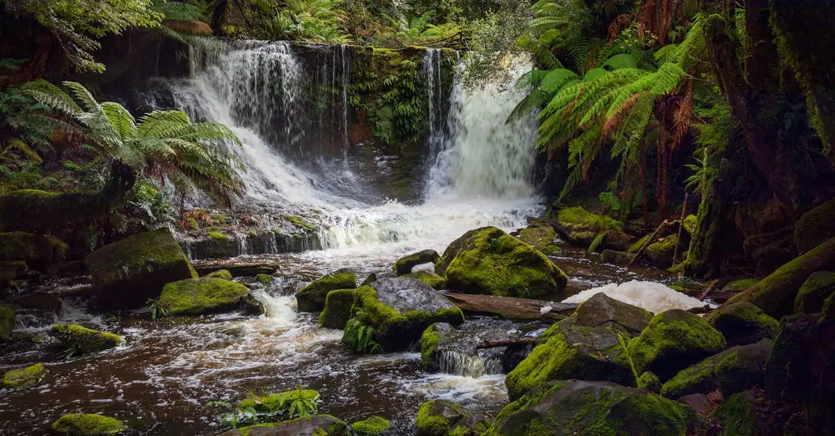 Welches Land entdeckte Tasmanien im 17. Jahrhundert?