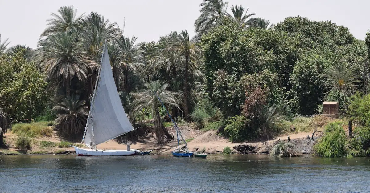 Wann begann das Zeitalter der Pharaonen in Ägypten?